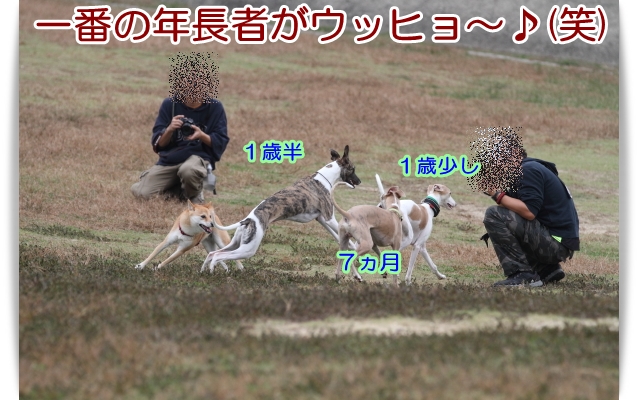e0100007_22192236.jpg