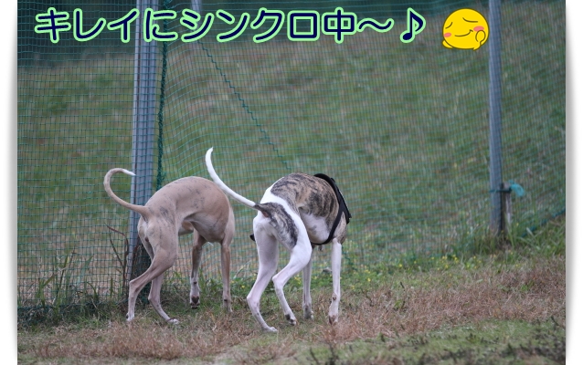 e0100007_22195475.jpg