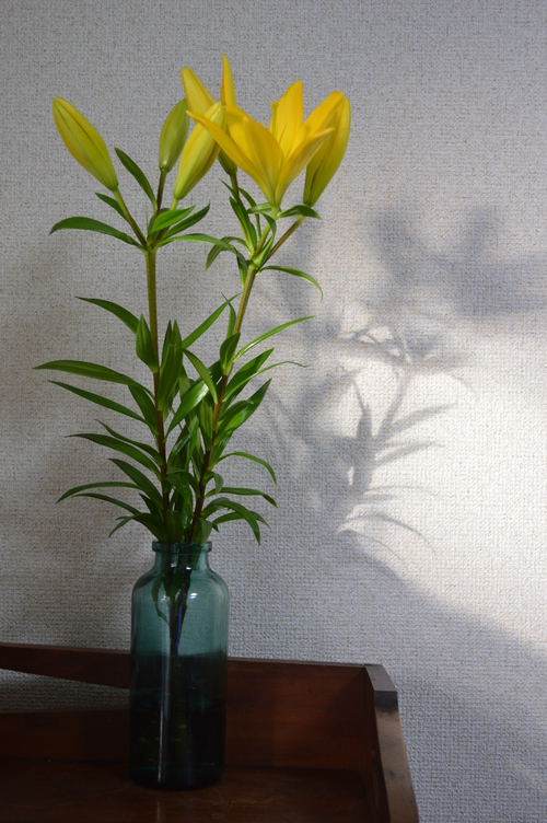 c0279611_8335228.jpg