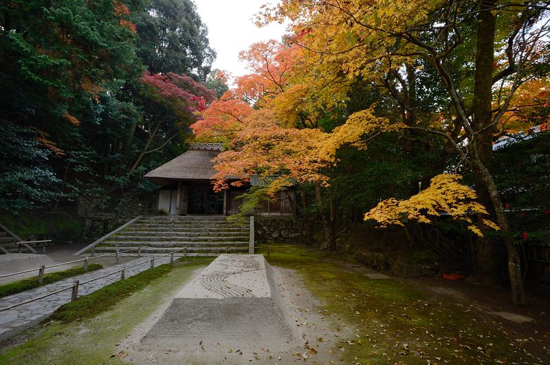 2013京都の紅葉!・法然院_f0032011_19312497.jpg