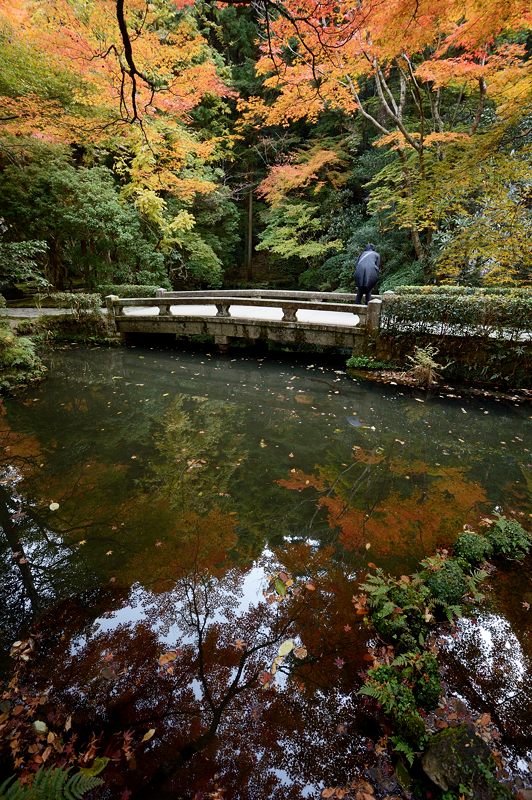 2013京都の紅葉!・法然院_f0032011_19313569.jpg