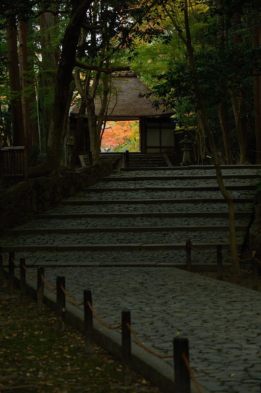 2013京都の紅葉!・法然院_f0032011_1931458.jpg