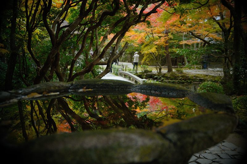 2013京都の紅葉!・法然院_f0032011_19315411.jpg