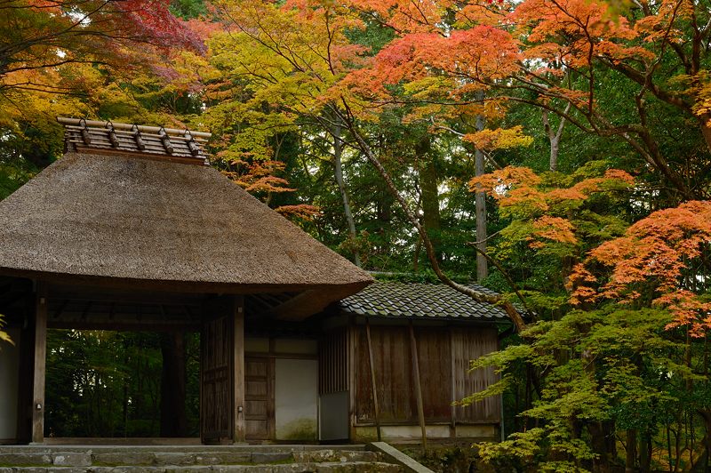 2013京都の紅葉!・法然院_f0032011_19322392.jpg