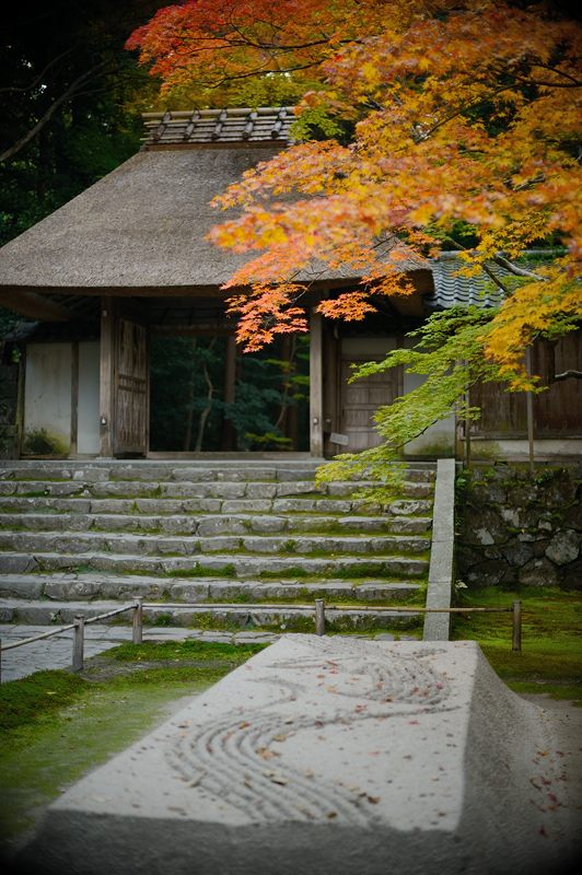 2013京都の紅葉!・法然院_f0032011_19323170.jpg