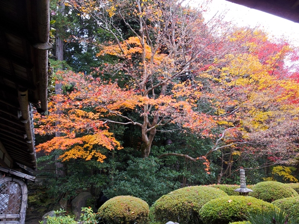 詩仙堂と蓮華寺に石川丈山のお庭を訪ねたけれど、侘びの世界はチョー満員。。_e0033713_17325343.jpg