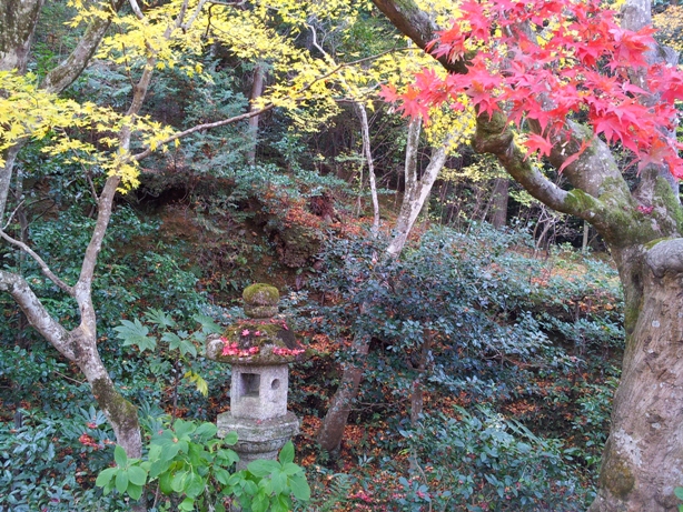 詩仙堂と蓮華寺に石川丈山のお庭を訪ねたけれど、侘びの世界はチョー満員。。_e0033713_17424578.jpg