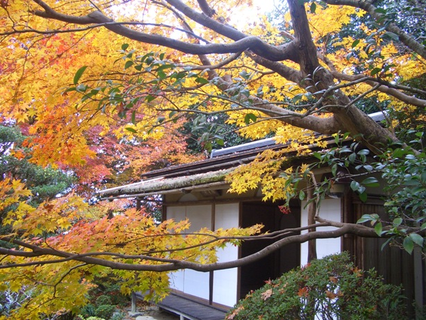 詩仙堂と蓮華寺に石川丈山のお庭を訪ねたけれど、侘びの世界はチョー満員。。_e0033713_17431134.jpg