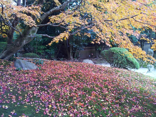 詩仙堂と蓮華寺に石川丈山のお庭を訪ねたけれど、侘びの世界はチョー満員。。_e0033713_17491666.jpg