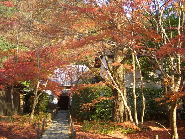 詩仙堂と蓮華寺に石川丈山のお庭を訪ねたけれど、侘びの世界はチョー満員。。_e0033713_18075779.jpg