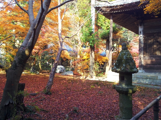 詩仙堂と蓮華寺に石川丈山のお庭を訪ねたけれど、侘びの世界はチョー満員。。_e0033713_18182578.jpg