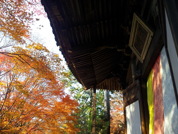 詩仙堂と蓮華寺に石川丈山のお庭を訪ねたけれど、侘びの世界はチョー満員。。_e0033713_18351348.jpg