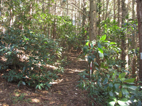 e0293913_19223544.jpg
