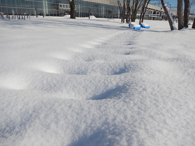 e0336214_12364890.jpg