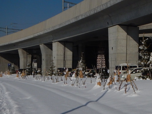 e0336214_12414797.jpg
