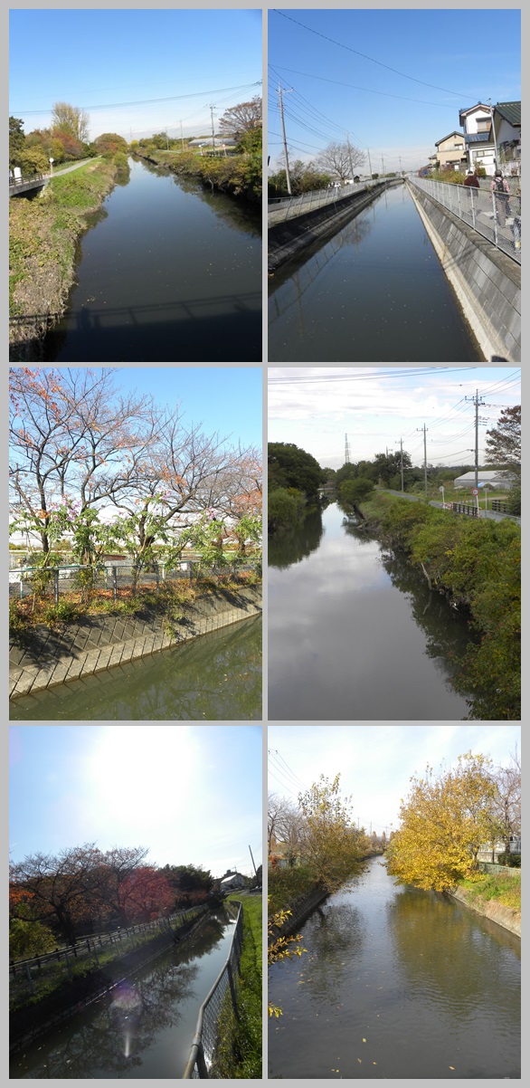 c0073016_20473864.jpg