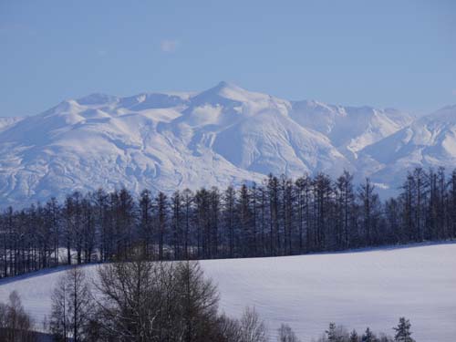 f0096216_16451853.jpg