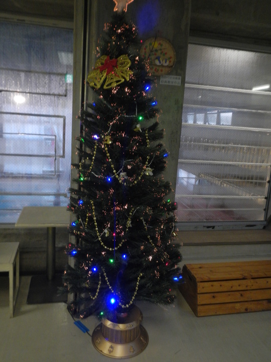 c0239217_18115537.jpg