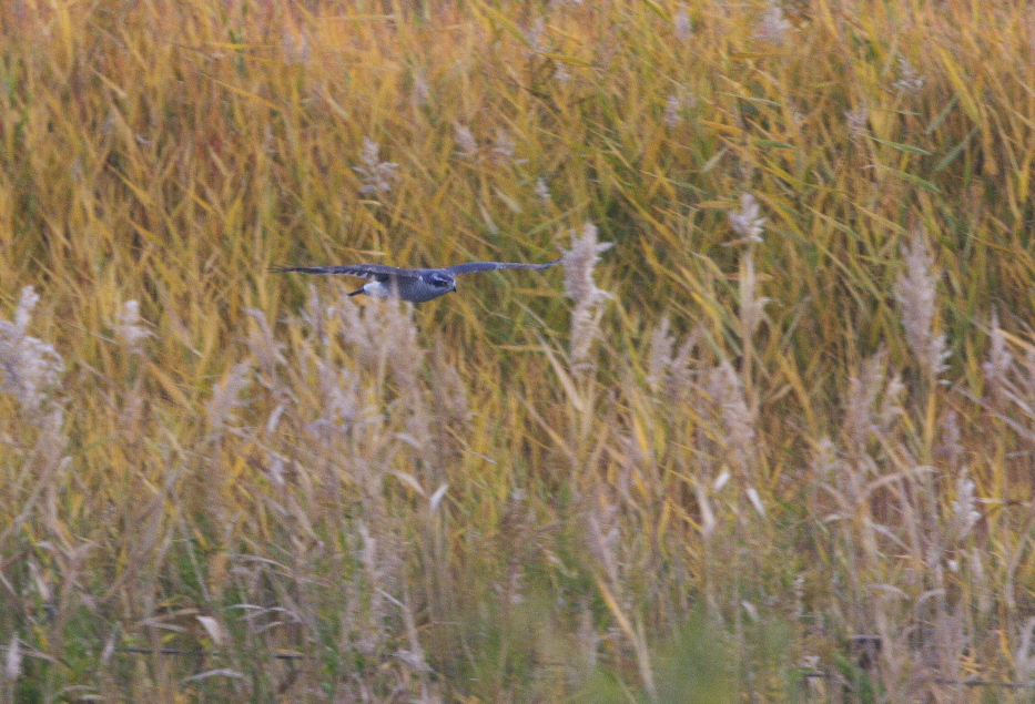 f0288418_554193.jpg