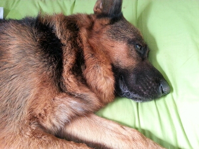 f0133723_2129087.jpg