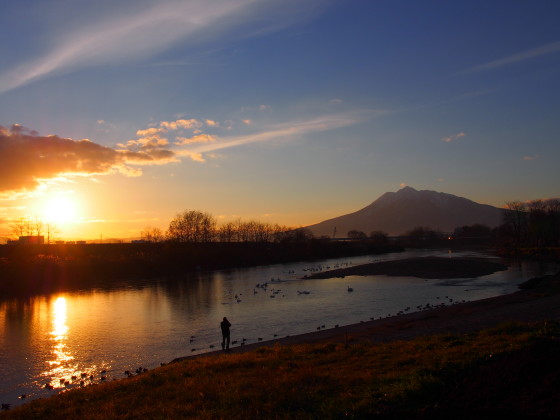 岩木山と夕陽とハクチョウ:白鳥ふれあい広場(藤崎町)*2013.12.03_b0147224_21161524.jpg