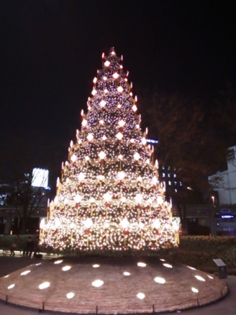 b0082125_13525587.jpg