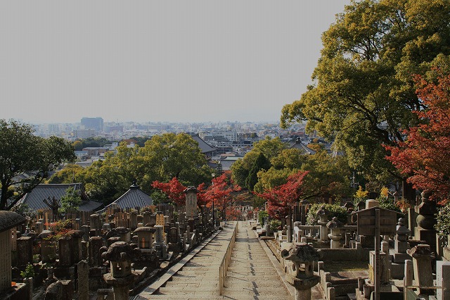 紅葉の京の旅　金戒光明寺（その1）_e0321325_9524589.jpg