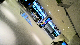 f0202427_551213.jpg