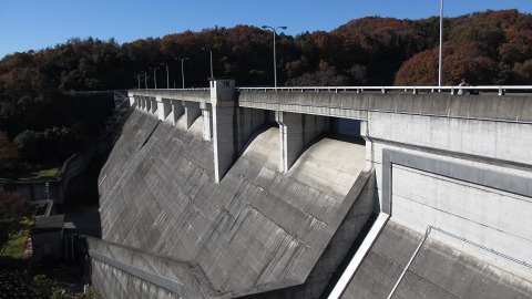 e0202031_23305052.jpg