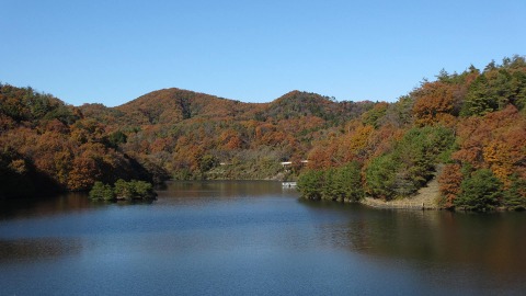 e0202031_23314855.jpg