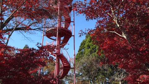 e0202031_23355299.jpg