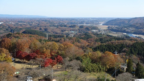 e0202031_23365891.jpg