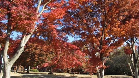 2013.11.23　御前山　よしだや_e0202031_23394578.jpg