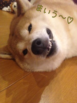 c0298732_043998.jpg
