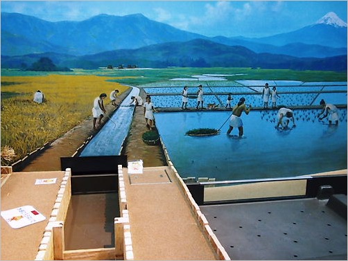 ぐるり身延線のたび ＊  登呂遺跡と芹沢銈介美術館_e0022839_012153.jpg