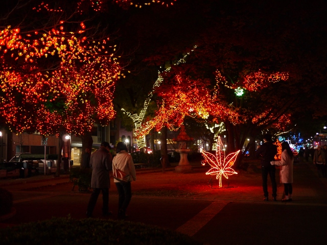 b0190540_224440.jpg