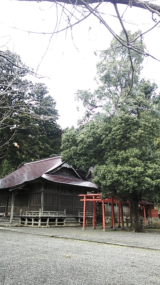 d0191640_1246207.jpg