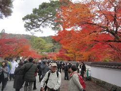 京都　永観堂　重森三令庭園美術館_e0110940_22113456.jpg