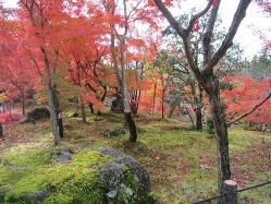 京都　永観堂　重森三令庭園美術館_e0110940_22133613.jpg