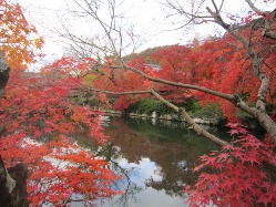 京都　永観堂　重森三令庭園美術館_e0110940_221786.jpg