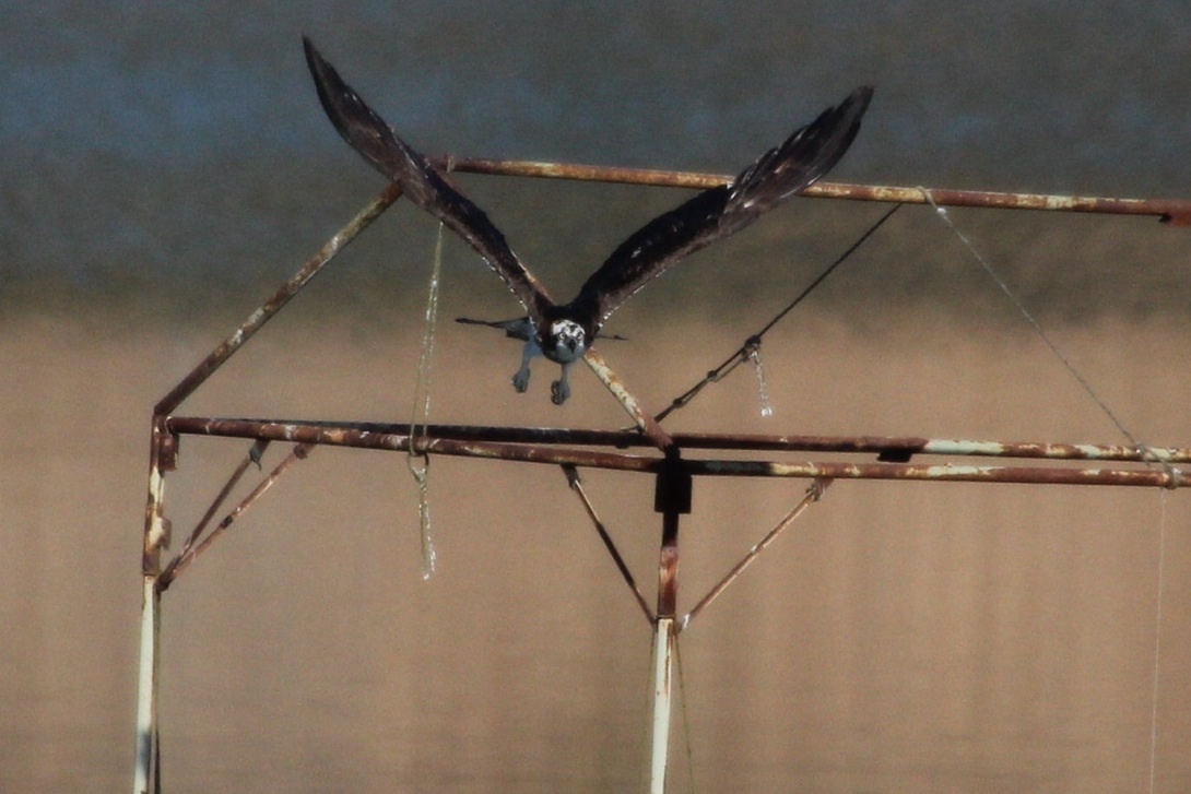 c0269342_18491117.jpg