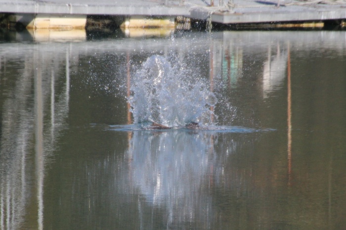 c0269342_18502780.jpg