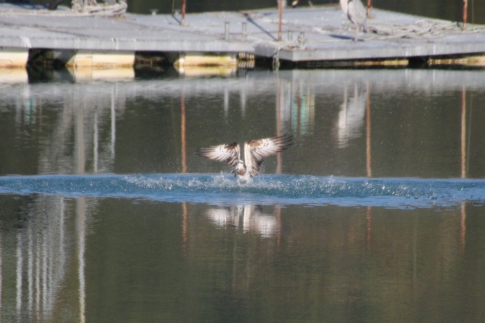 c0269342_20222302.jpg