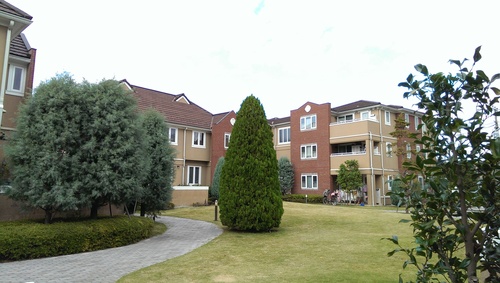 a0244943_20465310.jpg