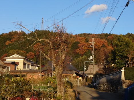 c0264343_3191125.jpg
