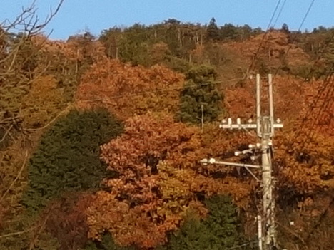 c0264343_3192658.jpg