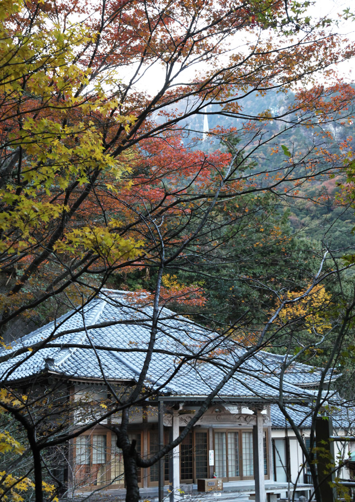 三重県　湯の山温泉　三岳寺　紅葉_c0108146_213327100.jpg