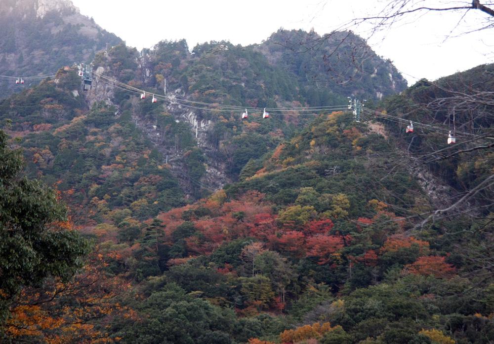 三重県　湯の山温泉　三岳寺　紅葉_c0108146_21334699.jpg