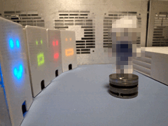e0005548_2247797.gif