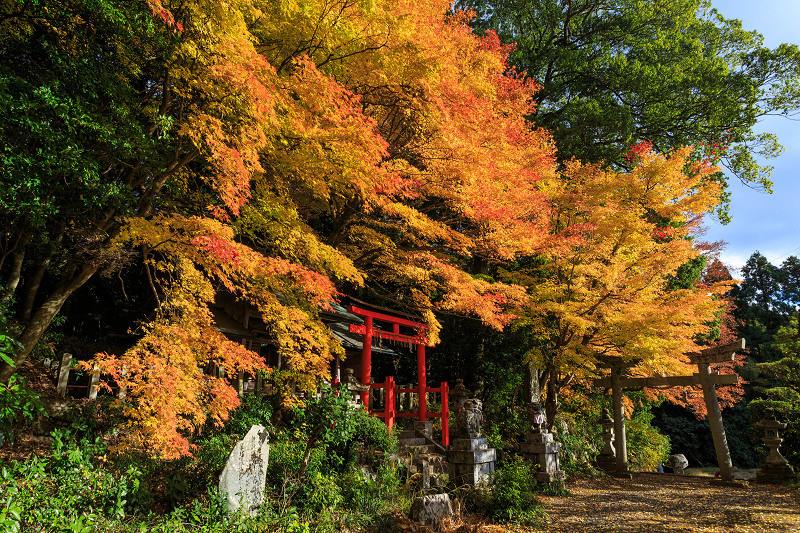 嵯峨・越畑／樒原の秋（河原家住宅・四所神社）_f0155048_14165894.jpg